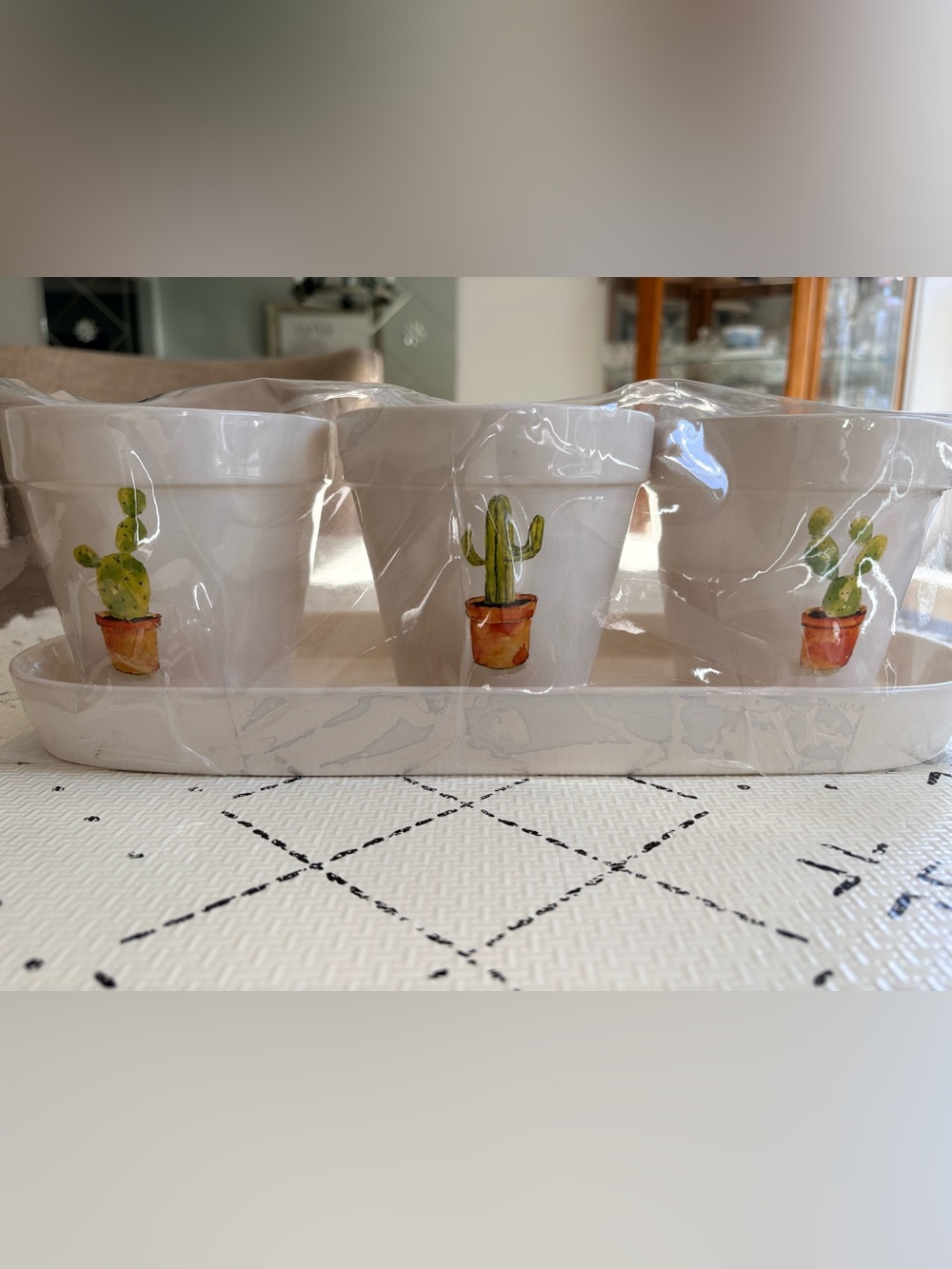 Rae Dunn planter tray